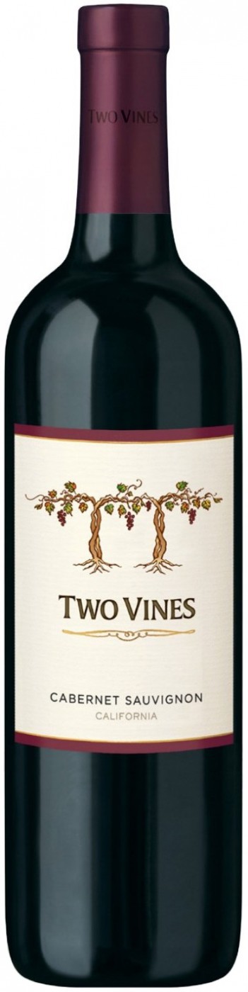 Two Vines Cabernet Sauvignon | Ту Вайнз Каберне Совиньон 750 мл