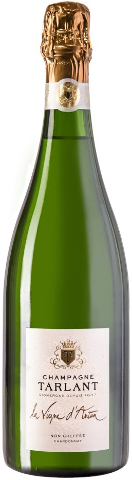Купить Champagne Tarlant La Vigne d Antan Non greffee Chardonnay Champagne AOC в Москве