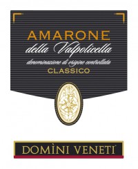 Купить Domini Veneti Amarone della Valpolicella Classico DOC 1500 мл в Москве
