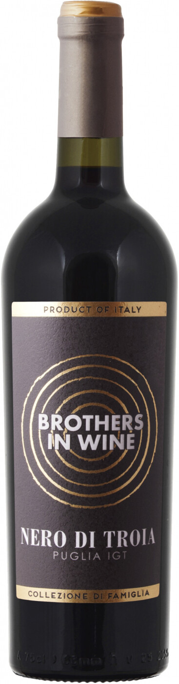 Купить Brothers in Wine Nero di Troia в Москве