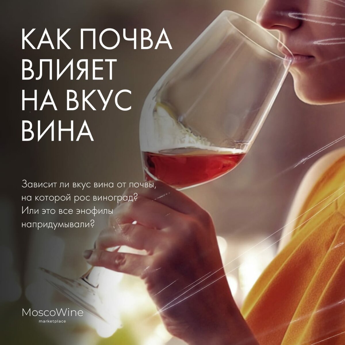 Купить Как почва влияет на вкус вина в Москве
